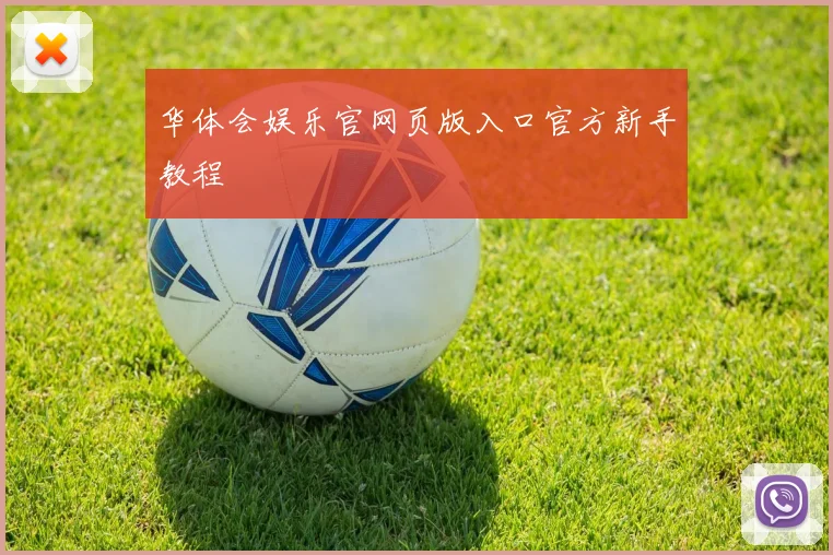 华体会娱乐官网页版入口官方新手教程