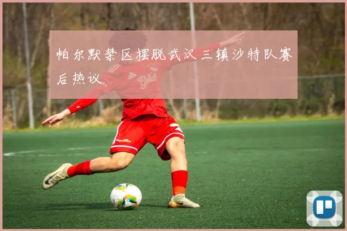 帕尔默禁区摆脱武汉三镇沙特队赛后热议