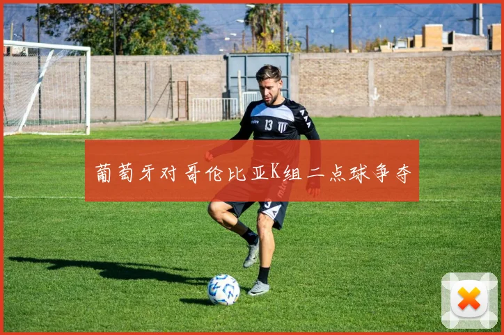 葡萄牙对哥伦比亚K组二点球争夺